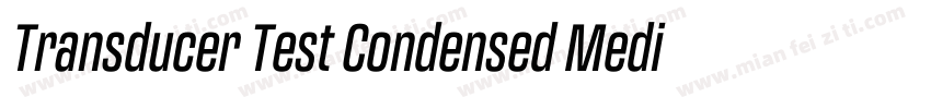 Transducer Test Condensed Medium字体转换